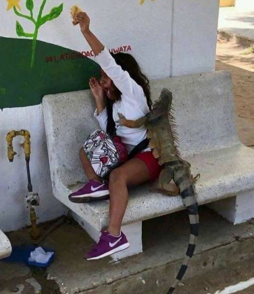 daily picdump 96 pics 9.html - 96 HD Photos | Premium Gallery 2018