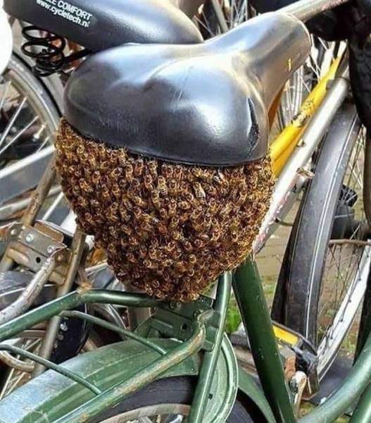 daily picdump 96 pics 9.html - 96 HD Photos | Premium Gallery 2018