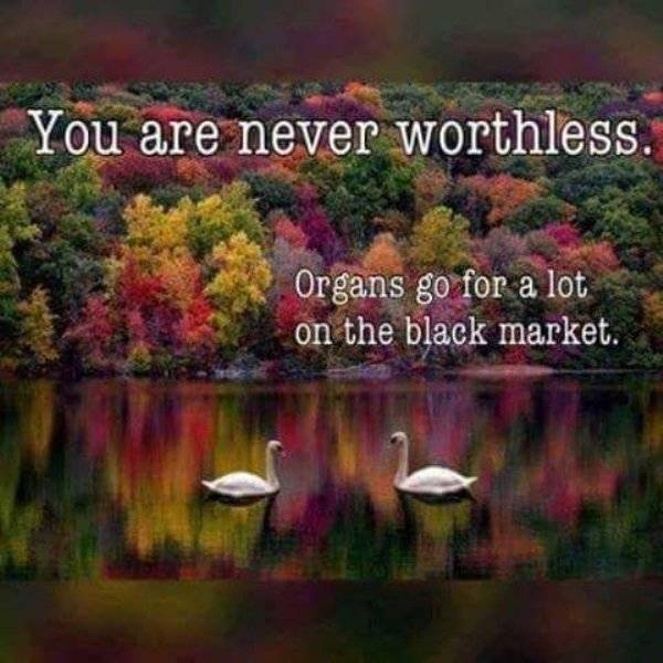 Hipster Sayings Made Much Easier