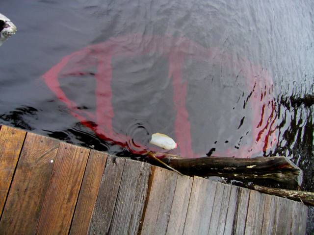 morning picdump 50 pics 21.html - 50 HD Photos | Premium Gallery 2018