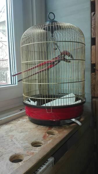 morning picdump 50 pics 21.html - 50 HD Photos | Premium Gallery 2018