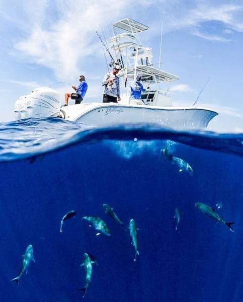 morning picdump 50 pics 21.html - 50 HD Photos | Premium Gallery 2018