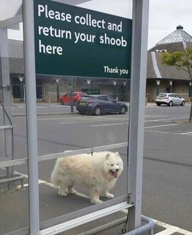 morning picdump 50 pics 21.html - 50 HD Photos | Premium Gallery 2018