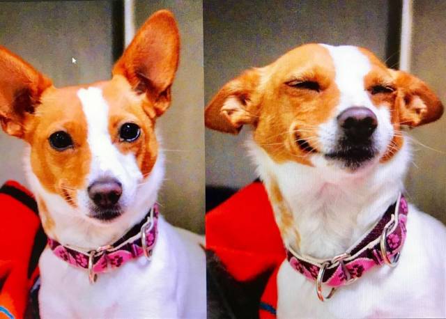 daily picdump 91 pics 42.html - 91 HD Photos | Premium Gallery 2018