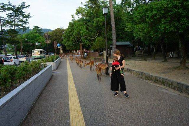 daily picdump 91 pics 42.html - 91 HD Photos | Premium Gallery 2018