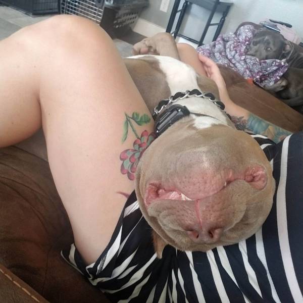 daily picdump 91 pics 42.html - 91 HD Photos | Premium Gallery 2018