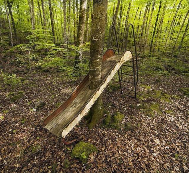 daily picdump 91 pics 42.html - 91 HD Photos | Premium Gallery 2018