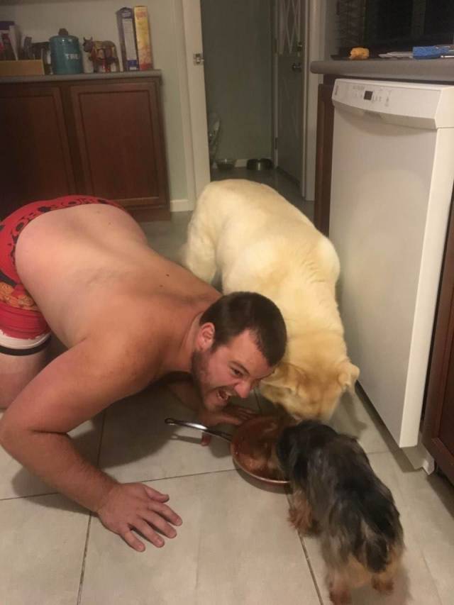 daily picdump 91 pics 42.html - 91 HD Photos | Premium Gallery 2018