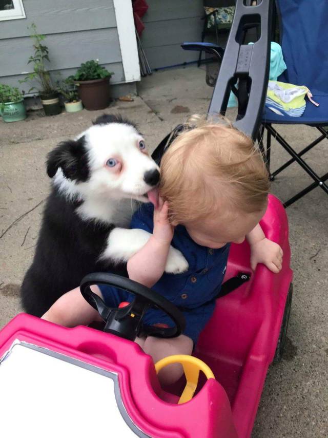 daily picdump 91 pics 42.html - 91 HD Photos | Premium Gallery 2018