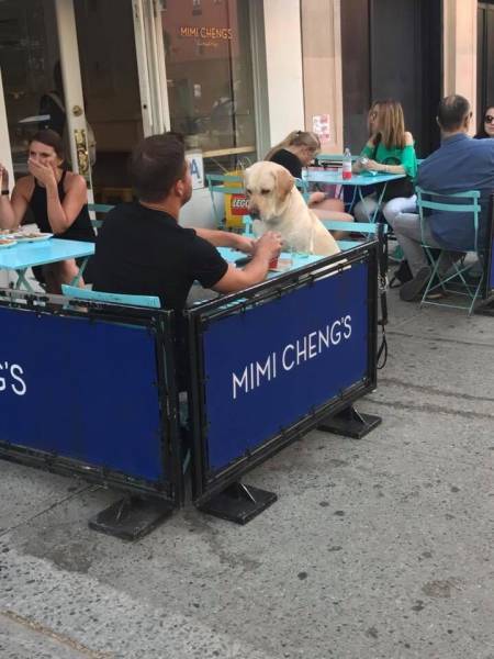 morning picdump 51 pics 11.html - 51 HD Photos | Premium Gallery 2018