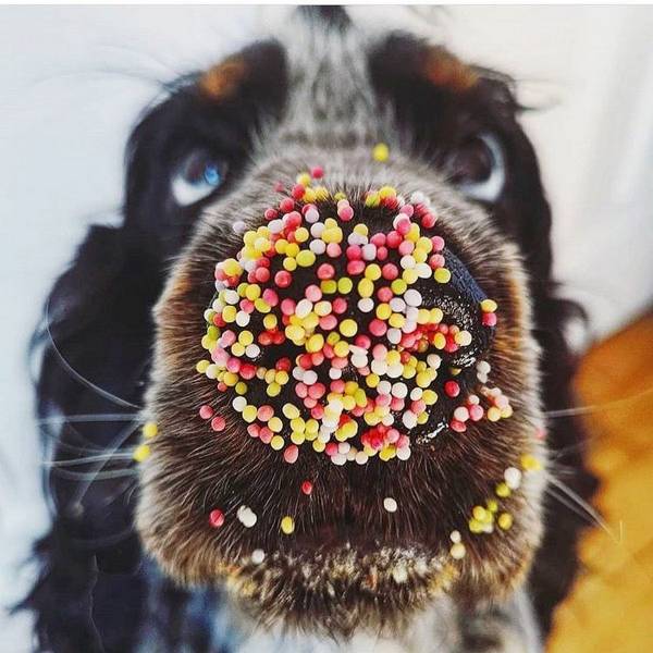 daily picdump 97 pics 14.html - 97 HD Photos | Premium Gallery 2018