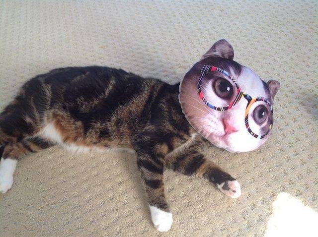 daily picdump 97 pics 14.html - 97 HD Photos | Premium Gallery 2018