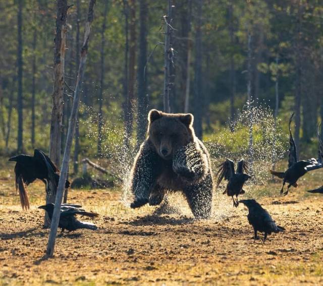 daily picdump 97 pics 14.html - 97 HD Photos | Premium Gallery 2018