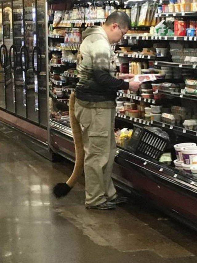 daily picdump 97 pics 14.html - 97 HD Photos | Premium Gallery 2018