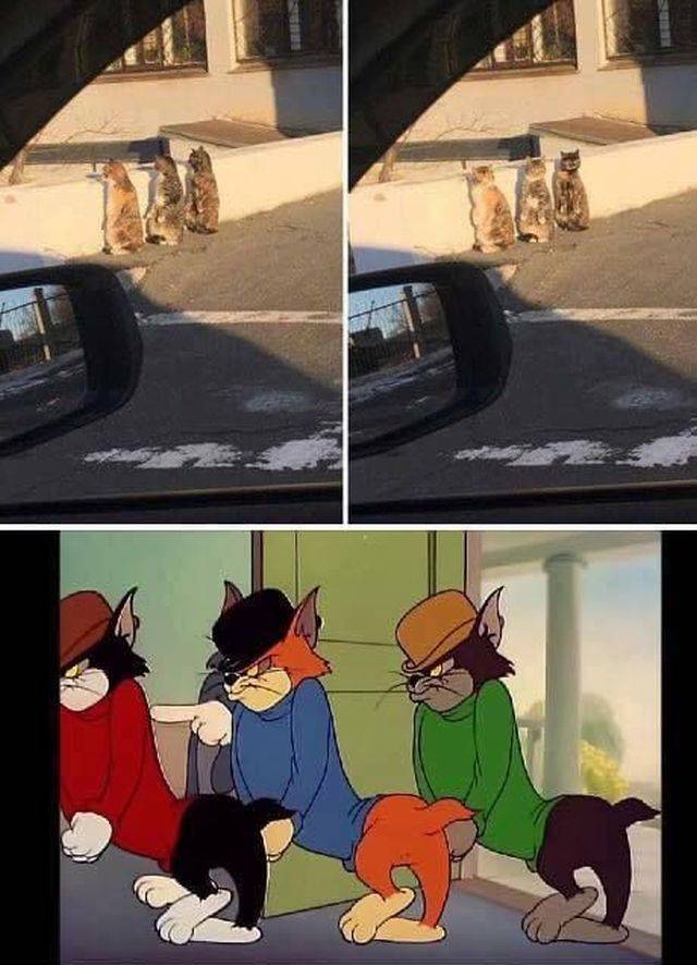 daily picdump 97 pics 14.html - 97 HD Photos | Premium Gallery 2018