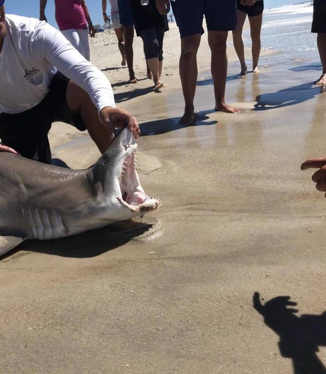 daily picdump 97 pics 14.html - 97 HD Photos | Premium Gallery 2018