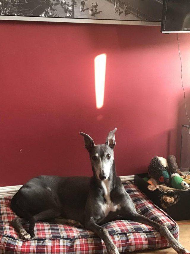 daily picdump 97 pics 14.html - 97 HD Photos | Premium Gallery 2018