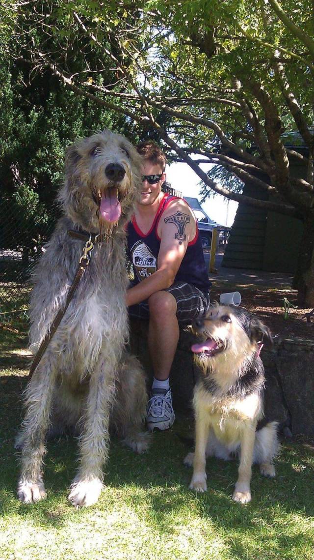 daily picdump 97 pics 14.html - 97 HD Photos | Premium Gallery 2018