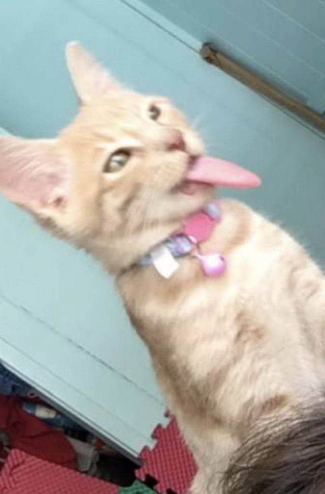 daily picdump 97 pics 14.html - 97 HD Photos | Premium Gallery 2018