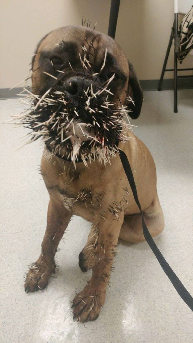 daily picdump 97 pics 14.html - 97 HD Photos | Premium Gallery 2018