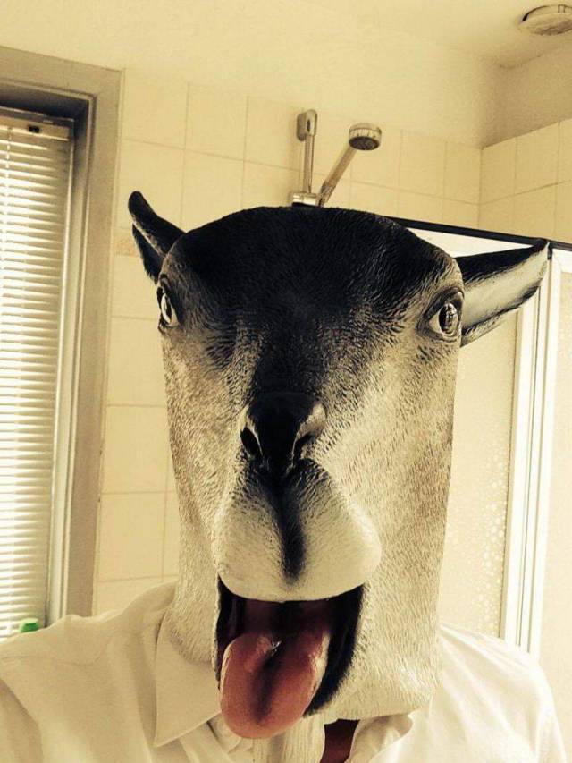 daily picdump 97 pics 14.html - 97 HD Photos | Premium Gallery 2018