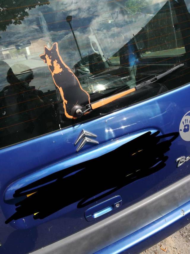 daily picdump 97 pics 14.html - 97 HD Photos | Premium Gallery 2018