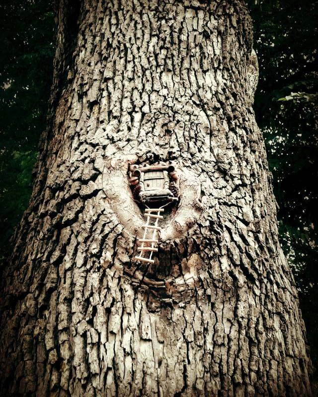 morning picdump 49 pics 5.html - 49 HD Photos | Premium Gallery 2018