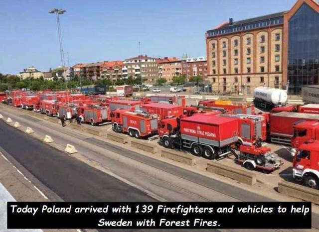 daily picdump 100 pics 1.html - 100 HD Photos | Premium Gallery 2018