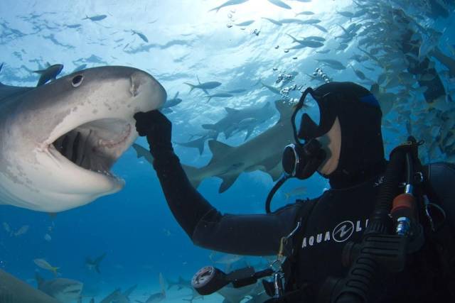 daily picdump 100 pics 1.html - 100 HD Photos | Premium Gallery 2018