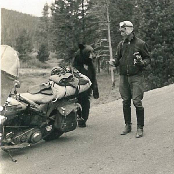 daily picdump 100 pics 1.html - 100 HD Photos | Premium Gallery 2018