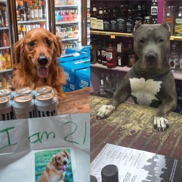 daily picdump 100 pics 1.html - 100 HD Photos | Premium Gallery 2018