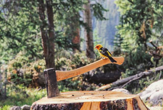 daily picdump 100 pics 1.html - 100 HD Photos | Premium Gallery 2018