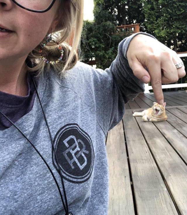 daily picdump 100 pics 1.html - 100 HD Photos | Premium Gallery 2018