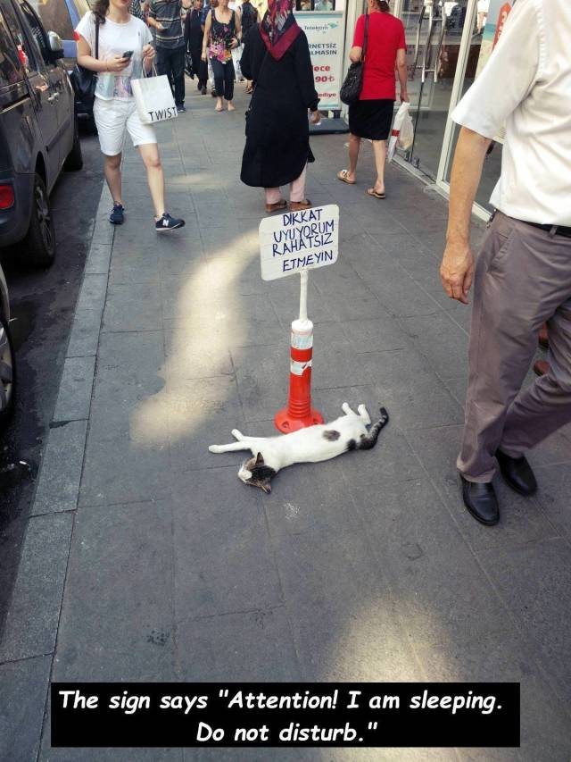 daily picdump 100 pics 1.html - 100 HD Photos | Premium Gallery 2018