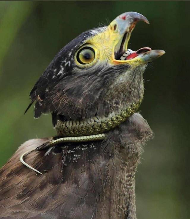 daily picdump 100 pics 1.html - 100 HD Photos | Premium Gallery 2018