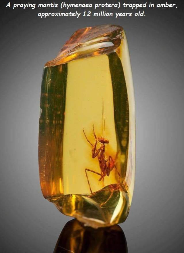 daily picdump 100 pics 1.html - 100 HD Photos | Premium Gallery 2018