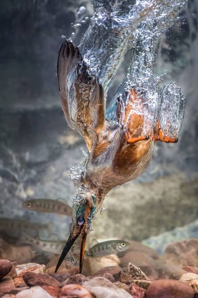 daily picdump 100 pics 1.html - 100 HD Photos | Premium Gallery 2018