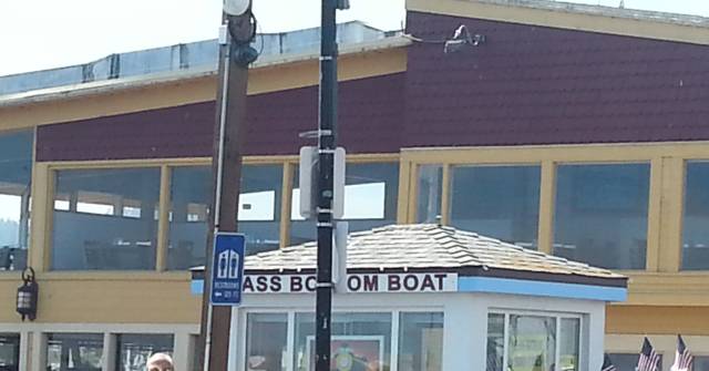 morning picdump 53 pics 25.html - 53 HD Photos | Premium Gallery 2018