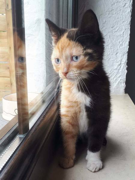 morning picdump 53 pics 25.html - 53 HD Photos | Premium Gallery 2018