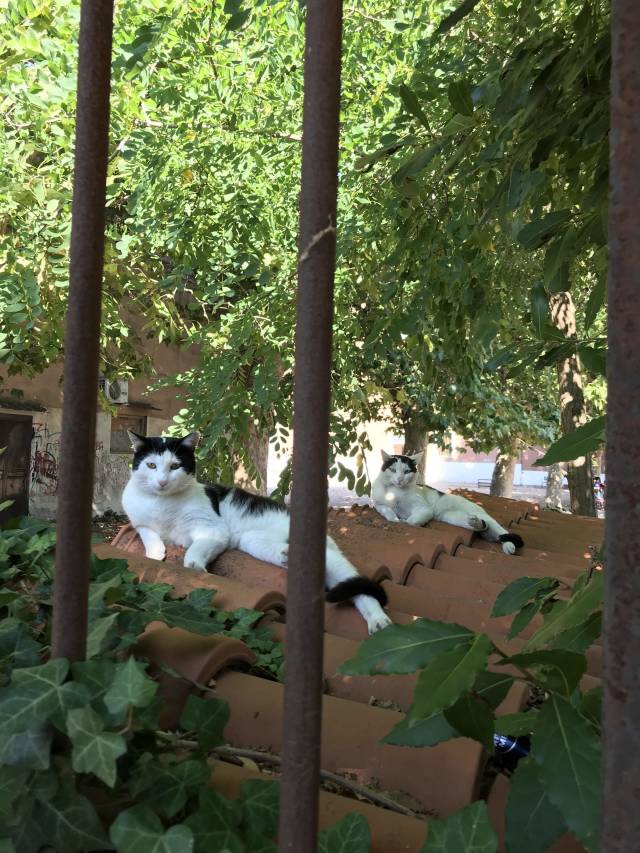 morning picdump 53 pics 25.html - 53 HD Photos | Premium Gallery 2018