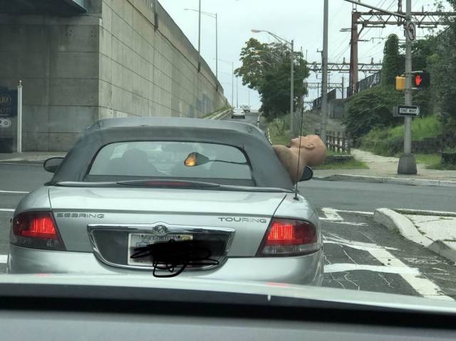 daily picdump 98 pics 11.html - 98 HD Photos | Premium Gallery 2018