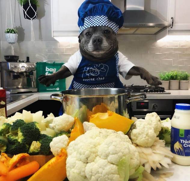 daily picdump 98 pics 11.html - 98 HD Photos | Premium Gallery 2018