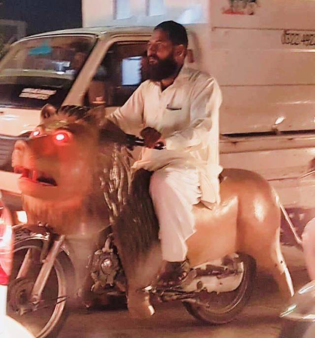 daily picdump 98 pics 11.html - 98 HD Photos | Premium Gallery 2018