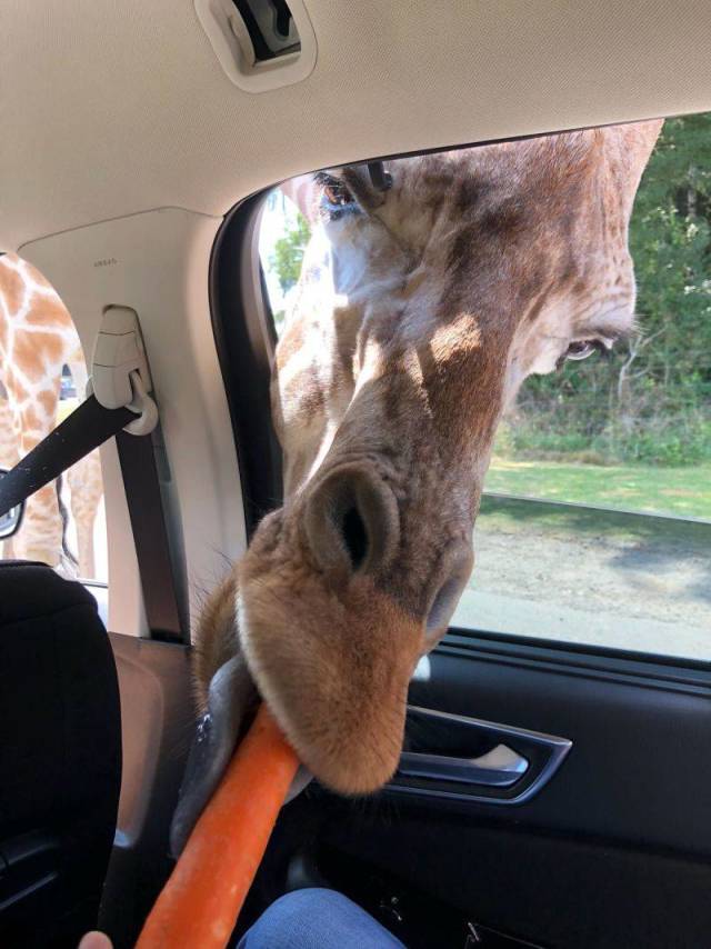 daily picdump 98 pics 11.html - 98 HD Photos | Premium Gallery 2018