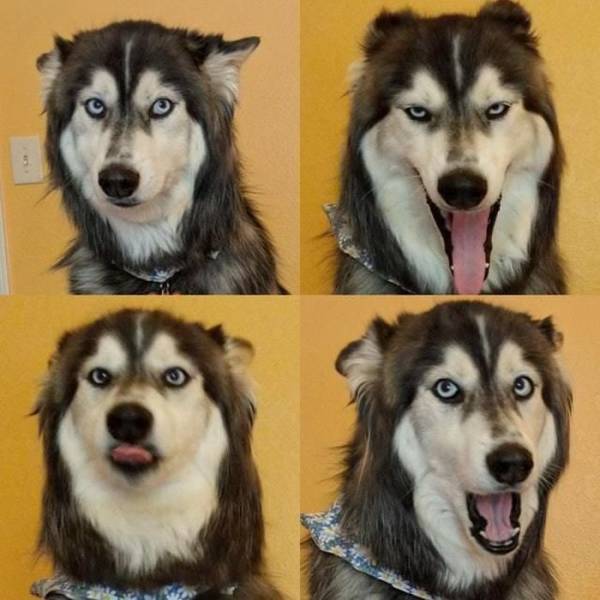 morning picdump 53 pics 15.html - 53 HD Photos | Premium Gallery 2018