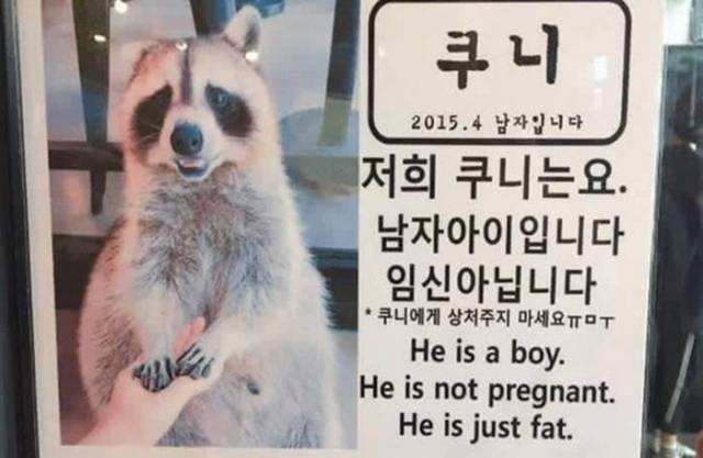 morning picdump 53 pics 15.html - 53 HD Photos | Premium Gallery 2018