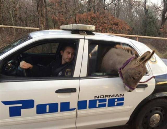 morning picdump 53 pics 15.html - 53 HD Photos | Premium Gallery 2018