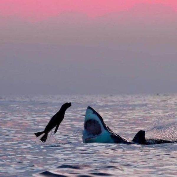 morning picdump 53 pics 15.html - 53 HD Photos | Premium Gallery 2018