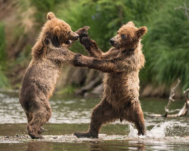daily picdump 94 pics 25.html - 94 HD Photos | Premium Gallery 2018
