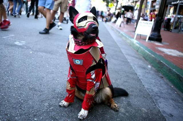 daily picdump 94 pics 25.html - 94 HD Photos | Premium Gallery 2018